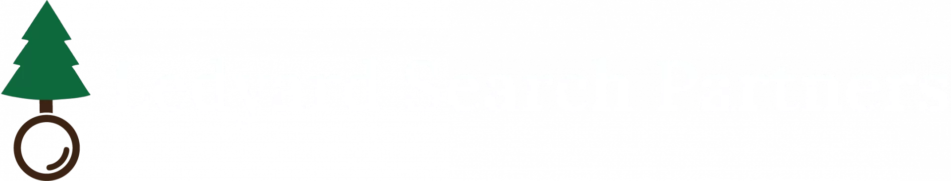 Ledyard Search Partners Logo